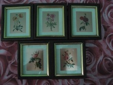 Lotto di 5 quadretti miniature