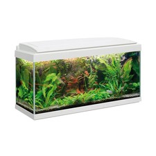 MTB Acquari Milo 80 Acquario