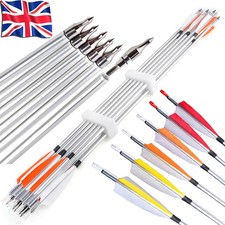 12X 30" Frecce Alluminio SP500