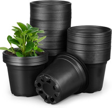 100 Pezzi Vasi Da Piante in