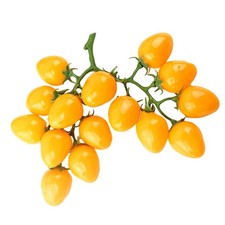  Simulazione pomodori