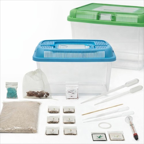 Triops - , (gamberi
