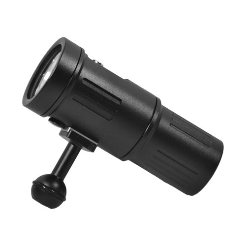 Oceama dragonet 5600 - dragonet,