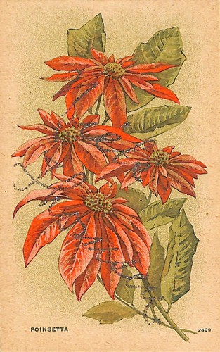 Cartolina epoca auguri - auguri, di