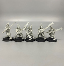 5 Incubi Warriors Drukhari