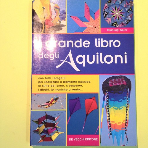 Grande libro degli aquiloni - libro,
