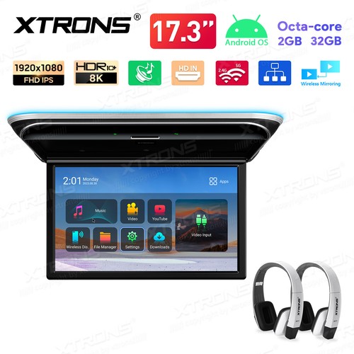 Monitor ips hd per - 17,3",