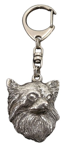 Chihuahua cane pelo lungo - a,