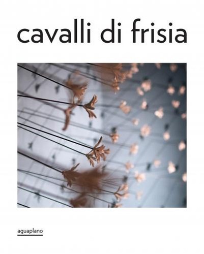 Cavalli frisia - cavalli, di