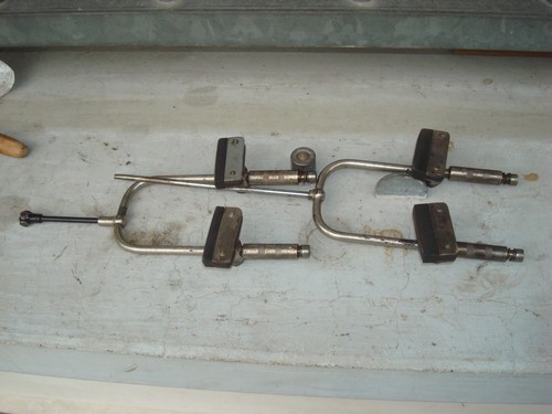 Freneria bianchi bis - bianchi,