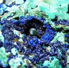 Rospo Naturale Alta Qualità