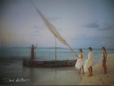 Carte Postale   DAVID HAMILTON