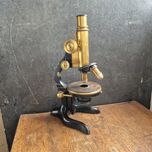Microscopio scientifico - microscopio,