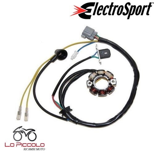 Statore accensione magnete - statore,