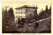 CARTOLINA VERONA - TREGNAGO