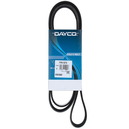 Cinghia poly dayco - cinghia, poly-v