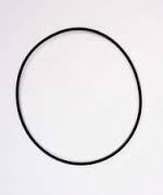 Guarnizione O-Ring Coperchio