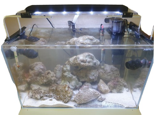 Acquario marino completo