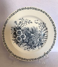 Antico Piatto Società