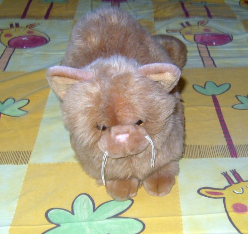 Peluche gatto marca lelly - gatto,