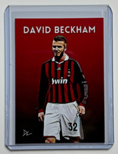 David beckham edizione - david,
