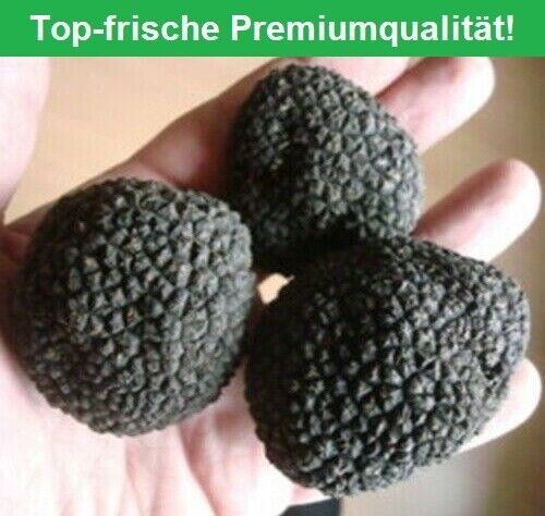 Tartufo 25g tuber aestivum