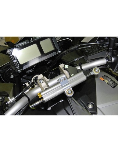 Agsd 001b 2010 735 - agsd, ohlins