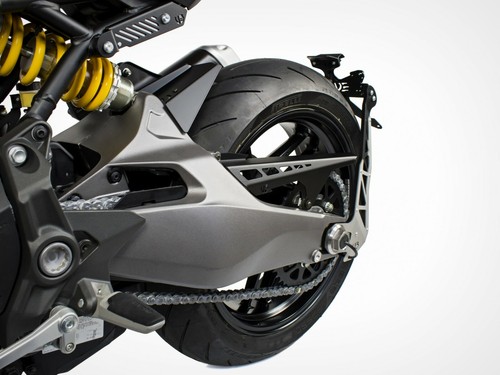 Paracatena copricatena ducati - copricatena,
