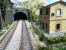 Plastico Ferroviario Diorama