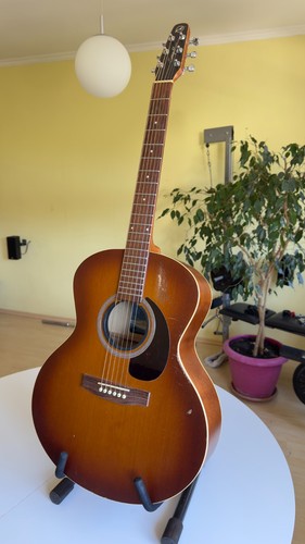 Chitarra acustica seagull - chitarra,
