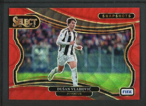 2024 dusan vlahovic 49 - 2024-25,