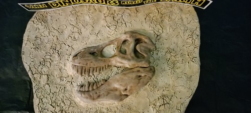 Jurassic park fossile rex - jurassic, t-rex