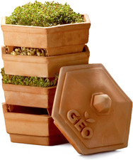 TZZ0933 Terradisiena