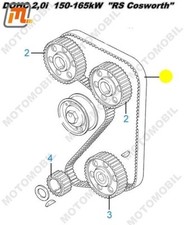 Cinghia distribuzione albero a
