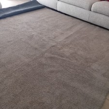 tappeto capelli poltrone sofà