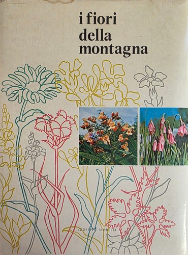 Morelli giuseppe fiori della - giuseppe, i