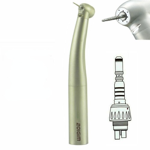 Large testa turbina - large,