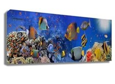 quadro tela  pesci dimensione