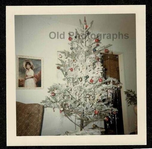 Albero natale - albero, di
