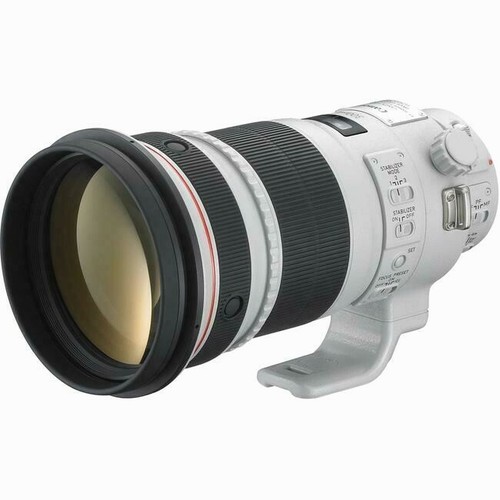 Canon 300 8 l is - ef,
