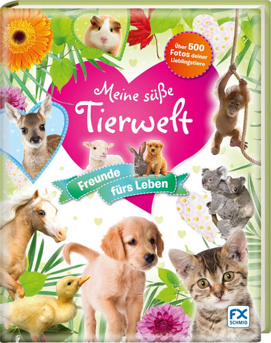 Meine süße tierwelt libro - meine,