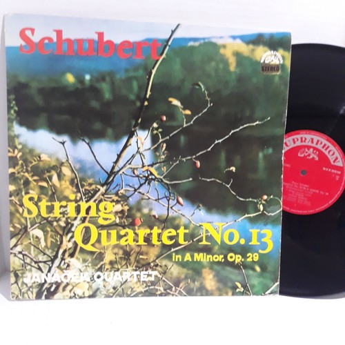Schubert string quartet 13 - quartet, no.