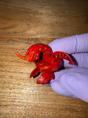 Pyrus dragonoid 520g - b1,