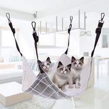  Brandina Per Animali