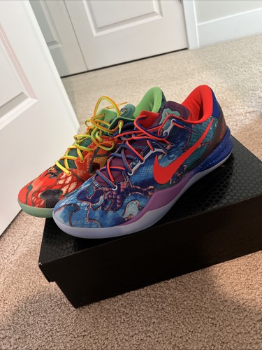 Kobe what the uomo - 8, the"