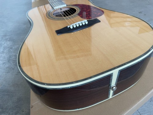 Chitarra elettrica acustica