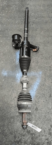 495012w050 semialbero ant - semialbero,