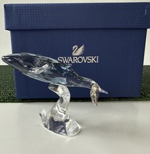 Swarovski SCS Edizione Annuale