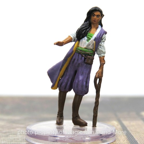 Bigby presents elf druid - ~,