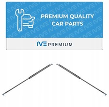 2 molle a gas ammortizzatori